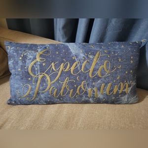 Pottery Barn Harry Potter Pillow and Pillowcase